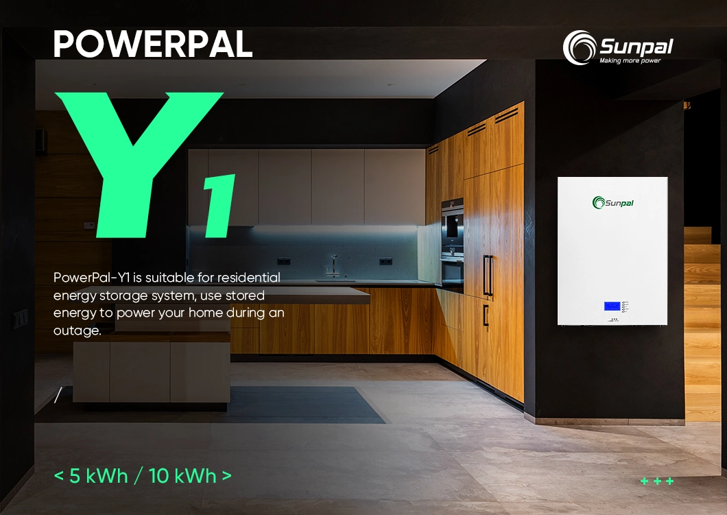 Sunpal 10kw LiFePO4 Power Wall Lithium Battery 48V 200ah High Quality